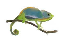 Green and blue chameleon sitting on a thin branch