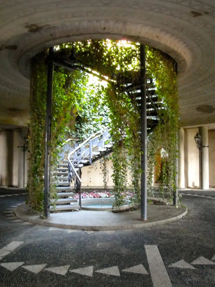 bunch of wines hanging down around a circular staircase with the sun peeking through